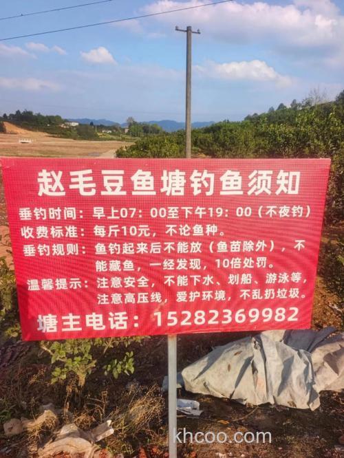 毛豆钓草鱼饵配方？