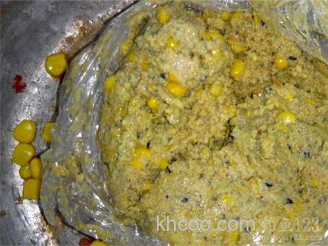 急需钓鲤鱼的香食