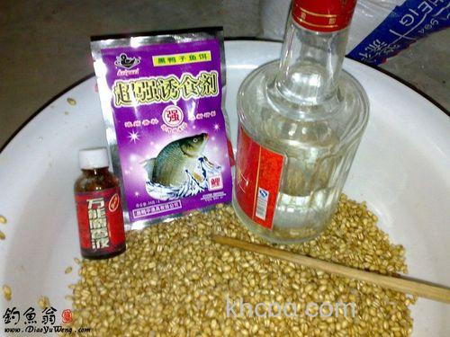 怎样泡麦子四季钓鱼效果好？