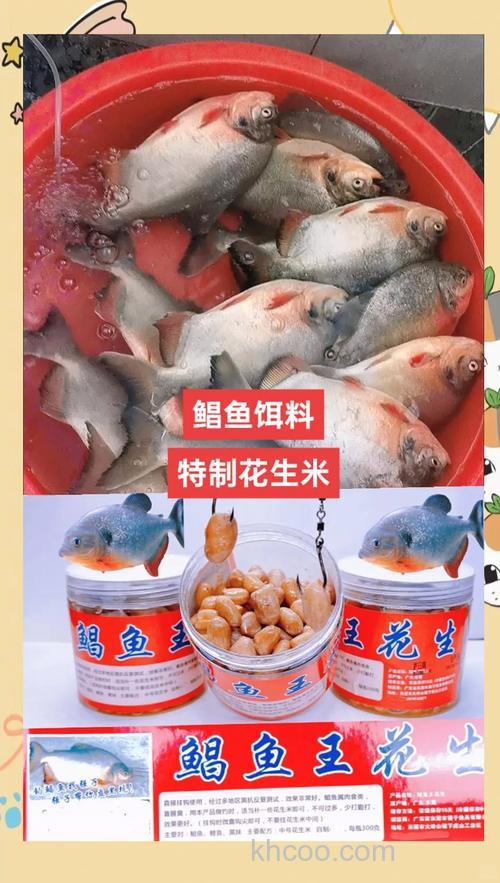 钓鲳鱼的花生饵料泡制方法？