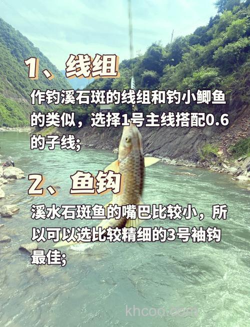 海钓石斑鱼全攻略：从钓点选择到动画教学，轻松提升钓鱼技巧