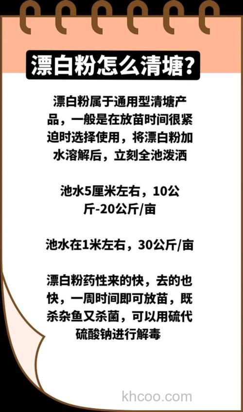 四大家鱼喂粉料怎么喂？