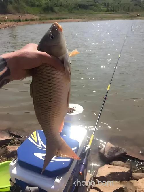 北方夏季野钓黄金季：掌握清晨与傍晚作钓时机，避开高温鱼获丰