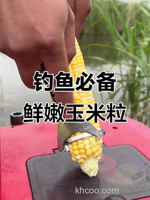 钓大草鱼用什么味型的玉米？