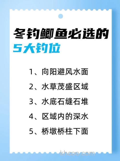 冬季野钓大鲫鱼攻略：如何选择钓位？背风向阳、水草区是首选