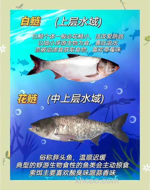 秋季是垂钓鲢鳙最的好时节