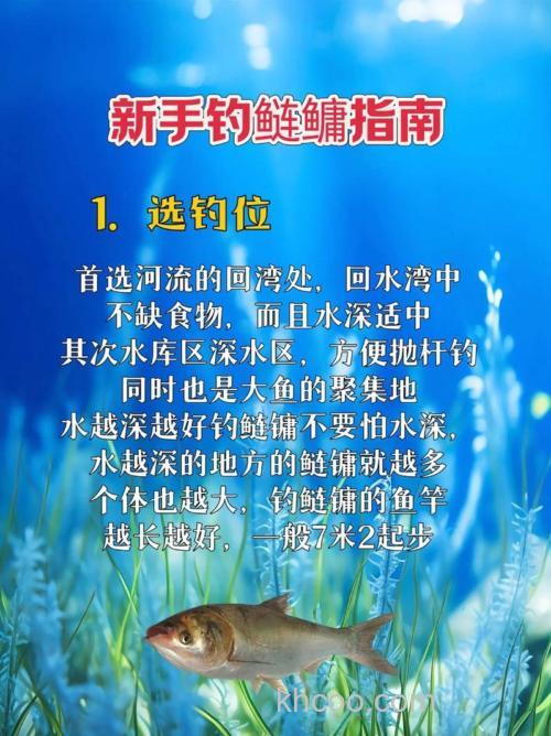 新手如何钓鲢鳙