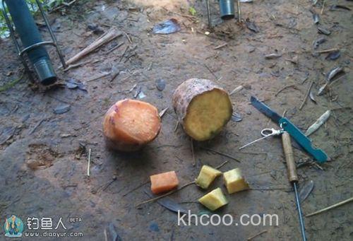 用红薯如何钓鱼