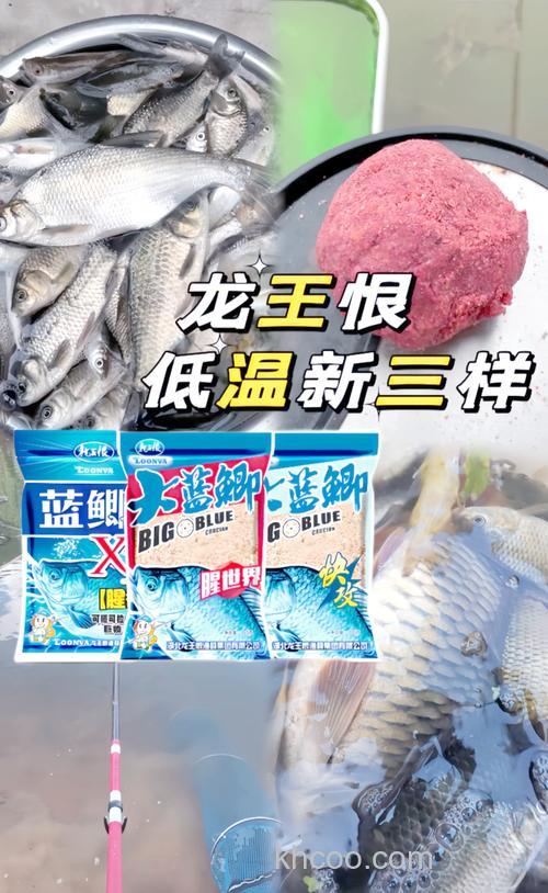 龙王恨新三样饵料早春配比？