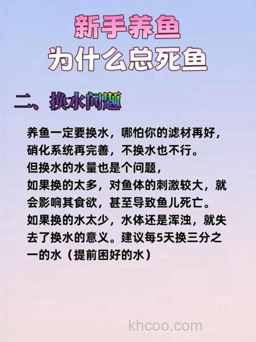 相隔不远别人上鱼自己不上鱼怎么解决？