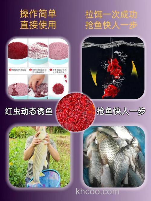 红虫主攻哪些鱼？