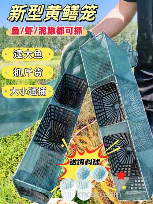 地笼捕鲶鱼用什么饵料？