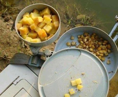 红薯和西红柿哪个钓鱼？