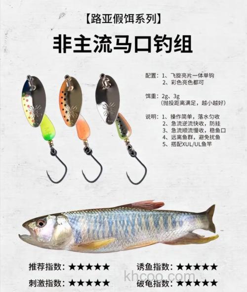 钓马口怎么钓？