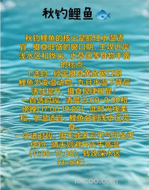 入秋怎么钓鲤鱼和鲤鱼