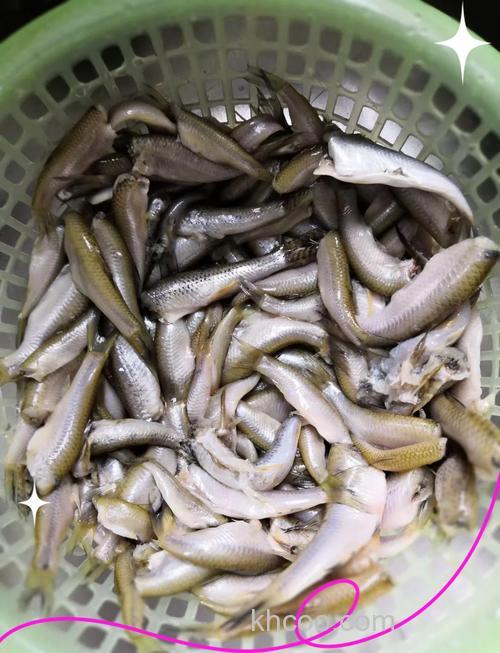 怎样避开小杂鱼？