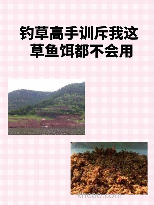 钓草高手训斥我：这草鱼饵都不会用
