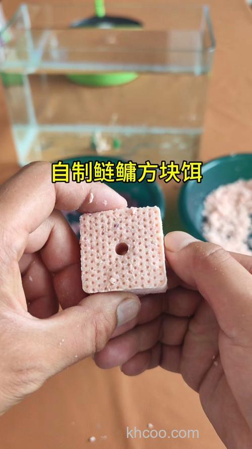 自制鲢鳙压饵方法？