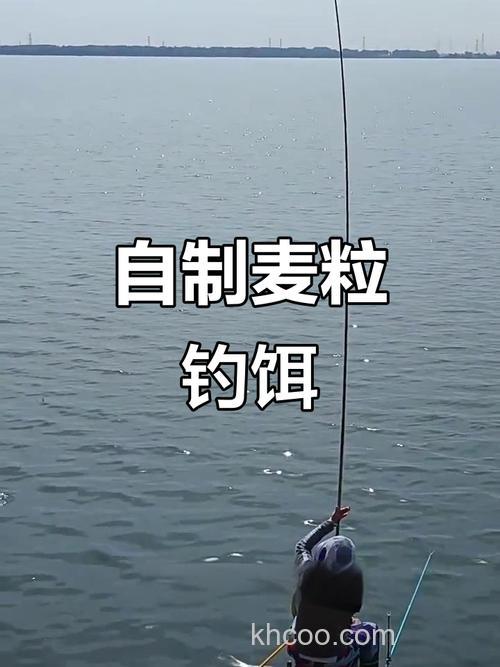 怎样用麦粒做鲫鱼钓饵？