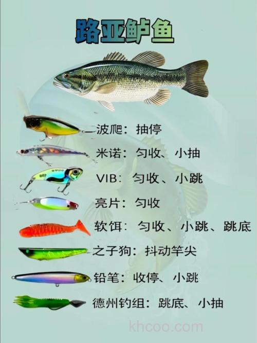 请教各位大虾，钓什么样的鱼用什么样的饵呢？