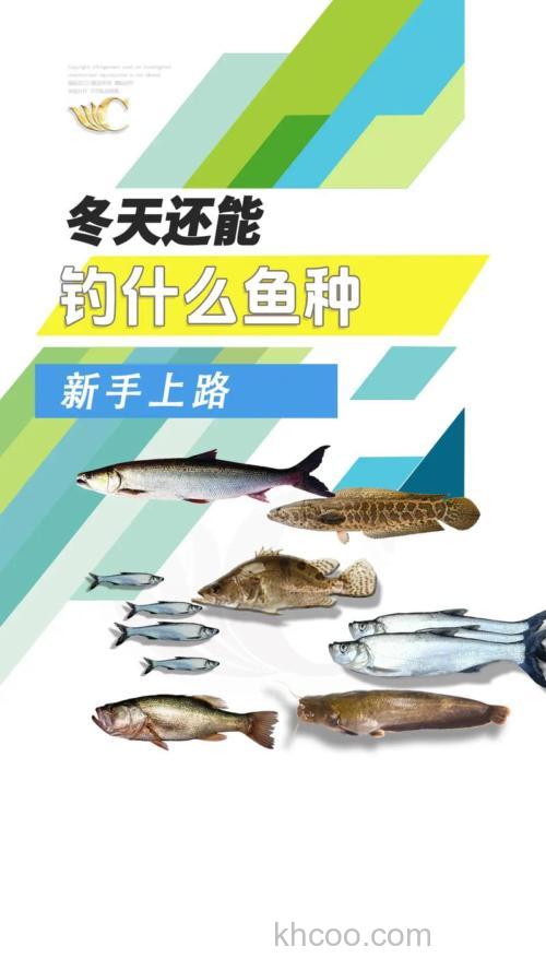 冬季钓鱼需要了解鱼的什么信息？