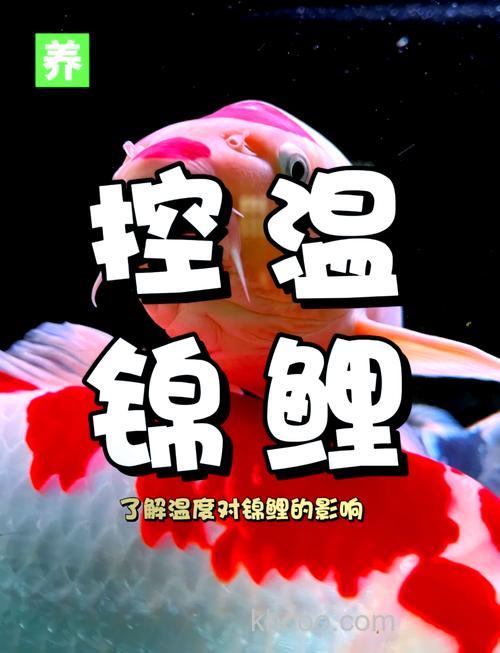 适合养鲤鱼的水温？