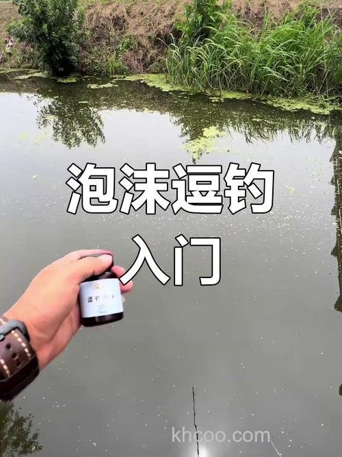 泡制小麦粒钓鲫鱼的方法？