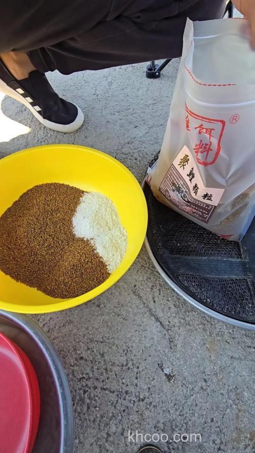 钓雄鱼的饵料？