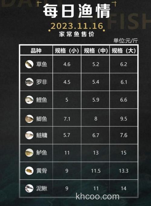 鲤鱼批发多少钱一斤