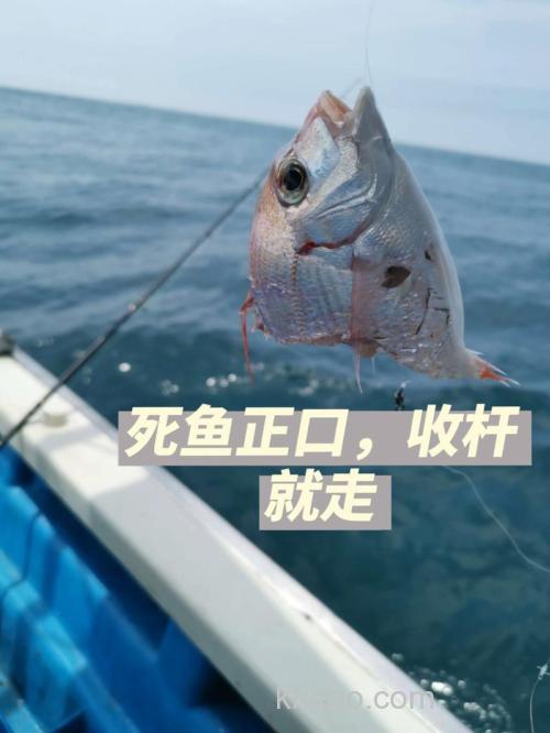 钓鱼钓到死鱼正口什么意思？钓鱼钓到鞋子是什么寓意？