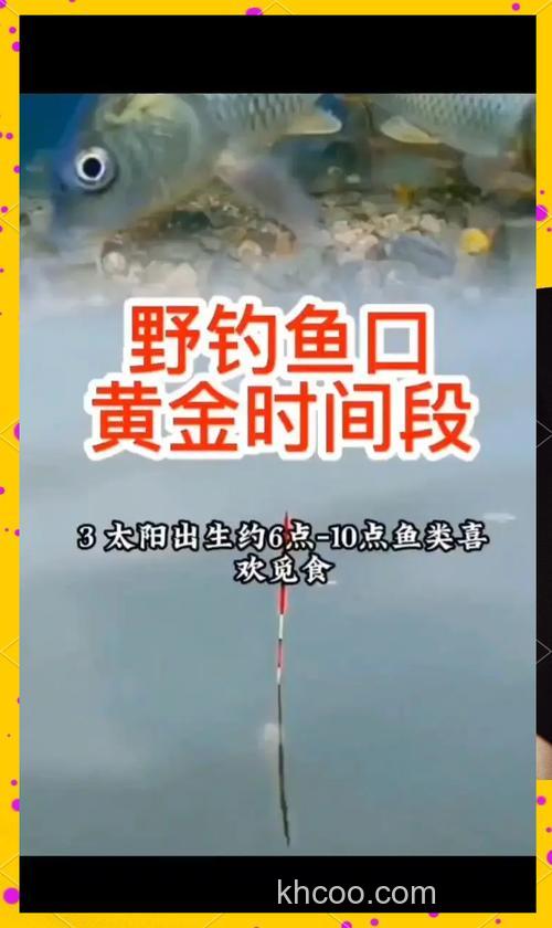 鲤鱼几天喂一次啊？食量多少？