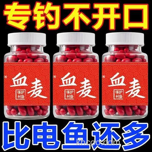 用红虫和麦粒一起钓鱼好用吗？