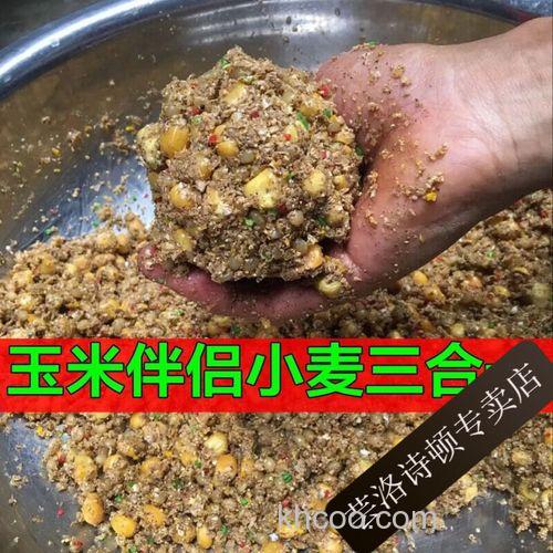 钓鱼鱼饵玉米小麦怎么泡