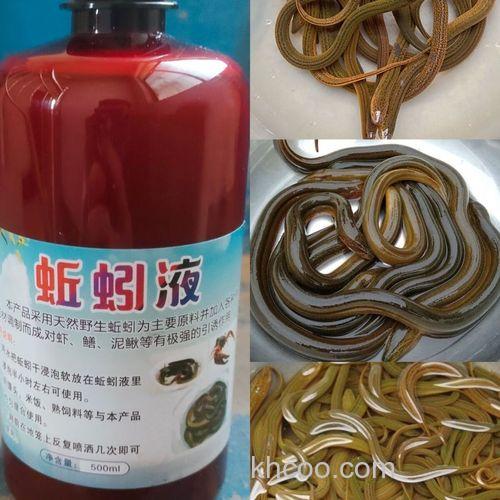蚯蚓液配什么饵料最好？