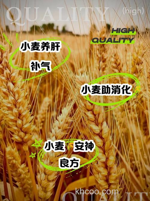 嫩麦子真有奇效？