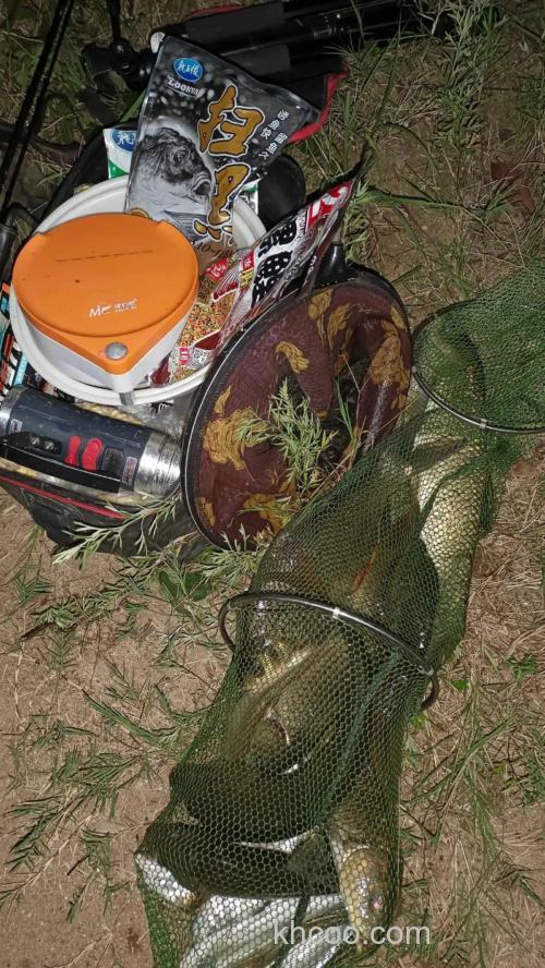 海藻钓鲤鱼的正确方法？