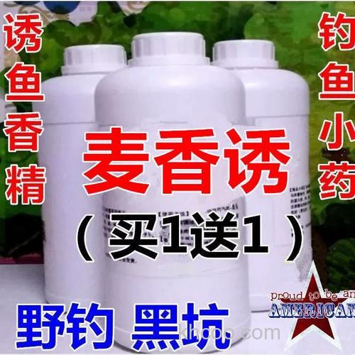 麦香诱钓鲤鱼可以吗？