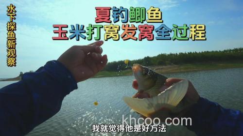 生玉米面可以钓鲫鱼吗？