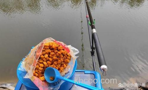 几月用玉米钓鱼