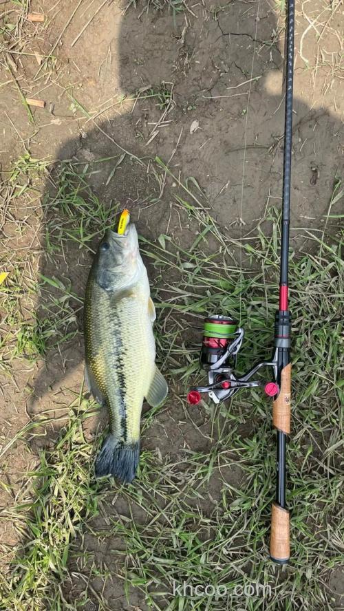 海竿钓翘嘴用什么饵最好钓？