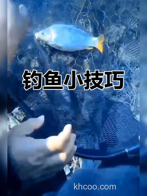 硅胶玉米可以钓到鱼吗？