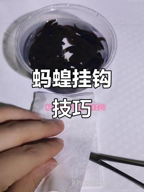 怎样让鳊鱼快速上钩？让鳊鱼快速上钩的方法？