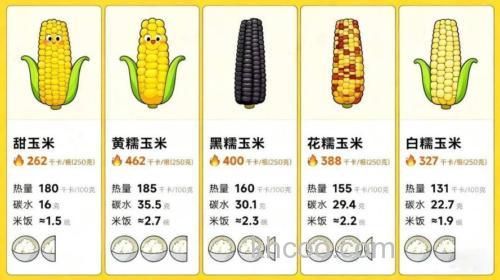 粮食热量排名？