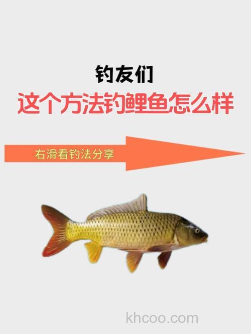 钓鲤鱼打窝配方