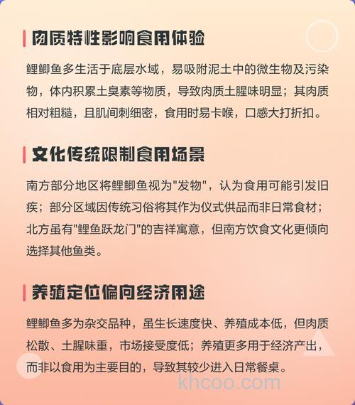 鲤鲫鱼为什么没人吃鲤鲫鱼