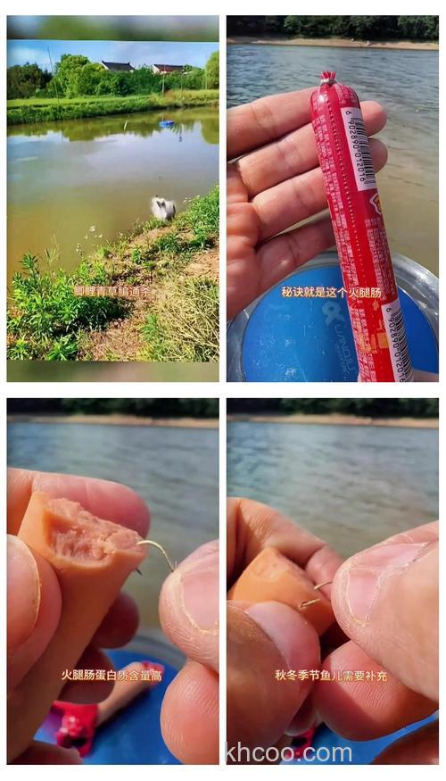 火腿肠钓鱼绝密配方？