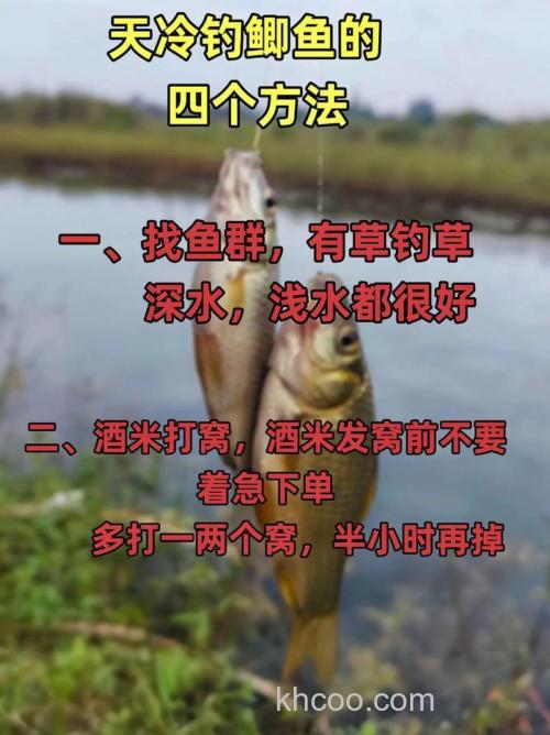 秋季野钓钓大板鲫鱼技巧