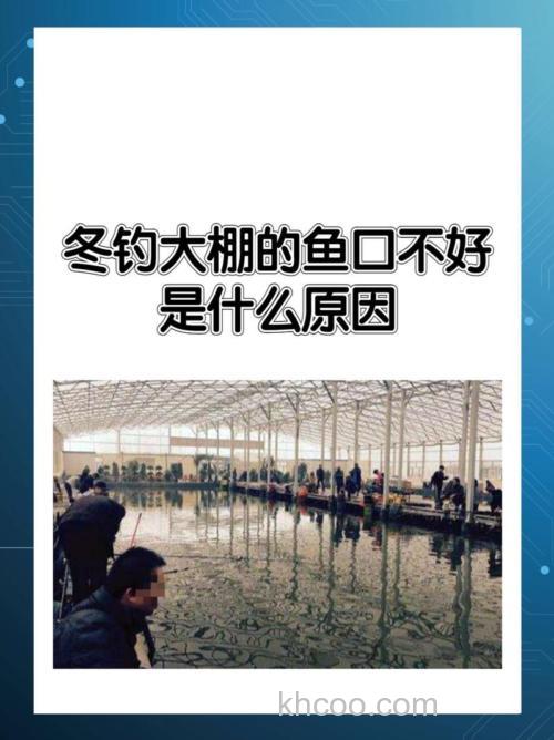 冬天钓鱼鱼口太差怎么办？