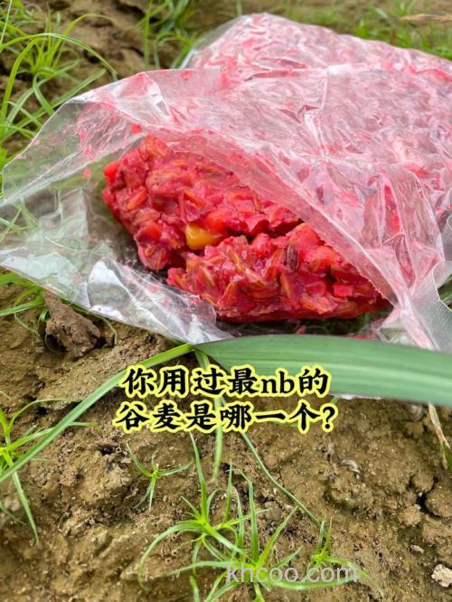 钓友公认十款最好谷麦？