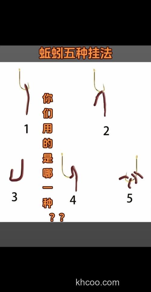 黄辣丁挂蚯蚓正确方法？